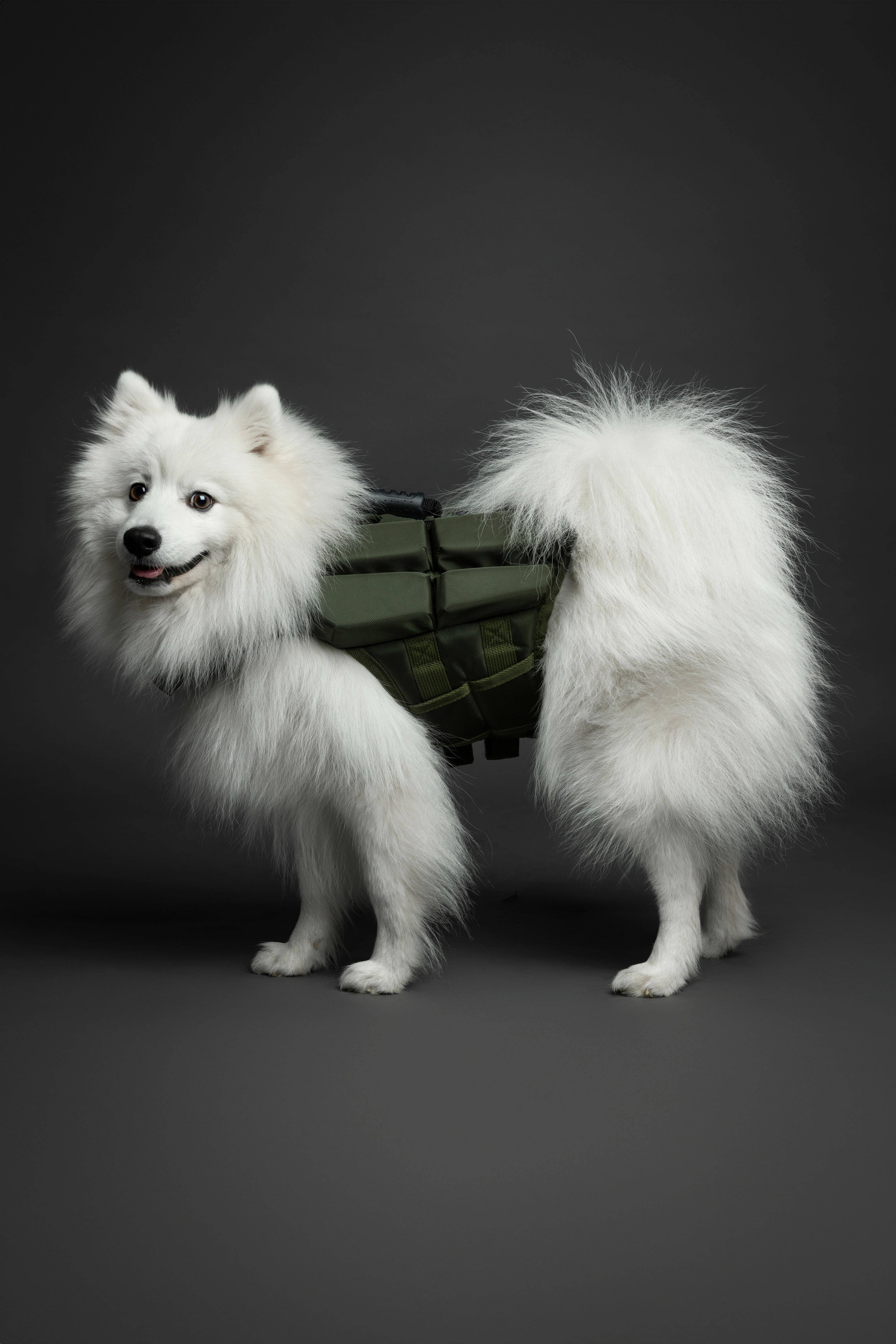 NOAH AND PAW LLC - Wholesale Pet Jacket - Dog - Human Standards Dog Lifejacket Design with 4x Foam Support for Max Floating - Green3
