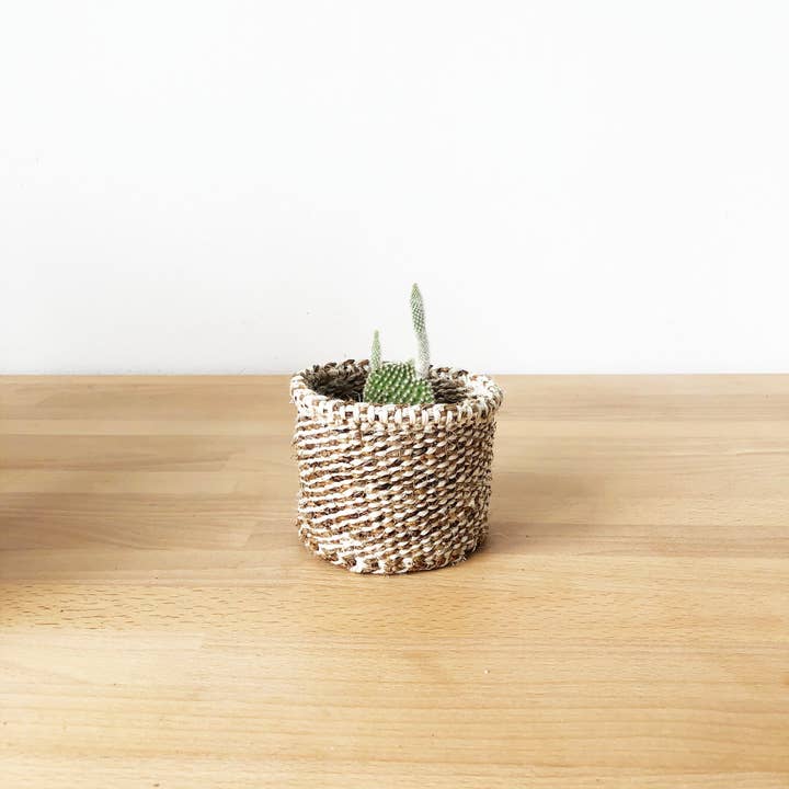 Amsha - Wholesale Basket - Storage Plant Basket: Banana Leaf