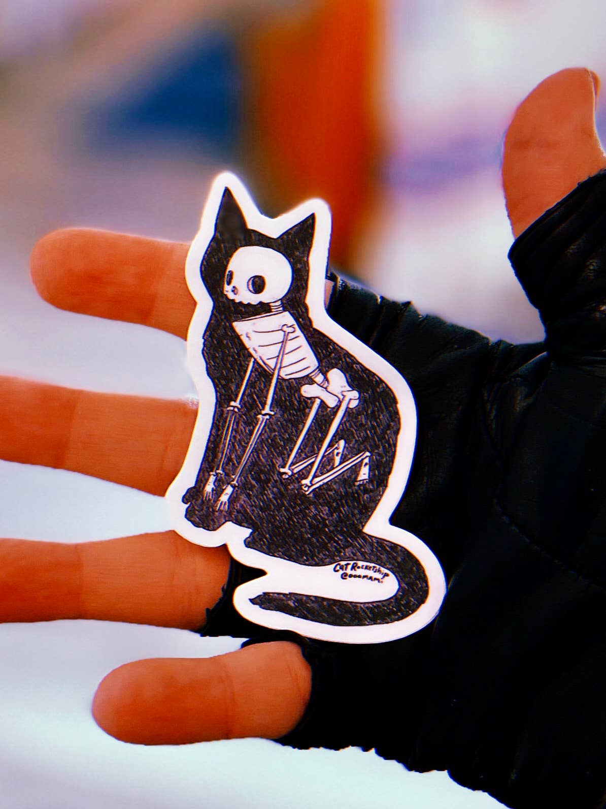 Cat Rocketship – Großhandel Aufkleber – Cat Skeleton 3" großer Aufkleber für Wasserflasche/Laptop2