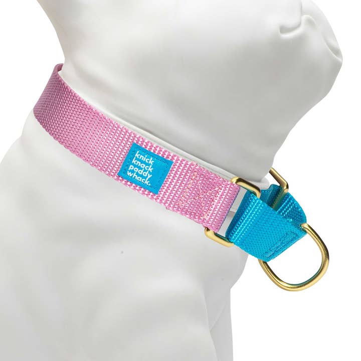 Rose & Blue Martingale for wholesale by Knick Knack Paddywhack Dog Gear