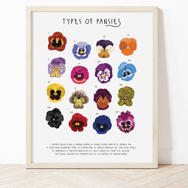 Tipi di Pansies Print per la vendita all'ingrosso da parte di Bea Baranowska Illustration