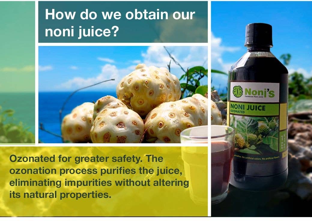 Frutos pachamama eirl - Wholesale Wellness Juice/Tonic - Noni's Caribbean raw juice4