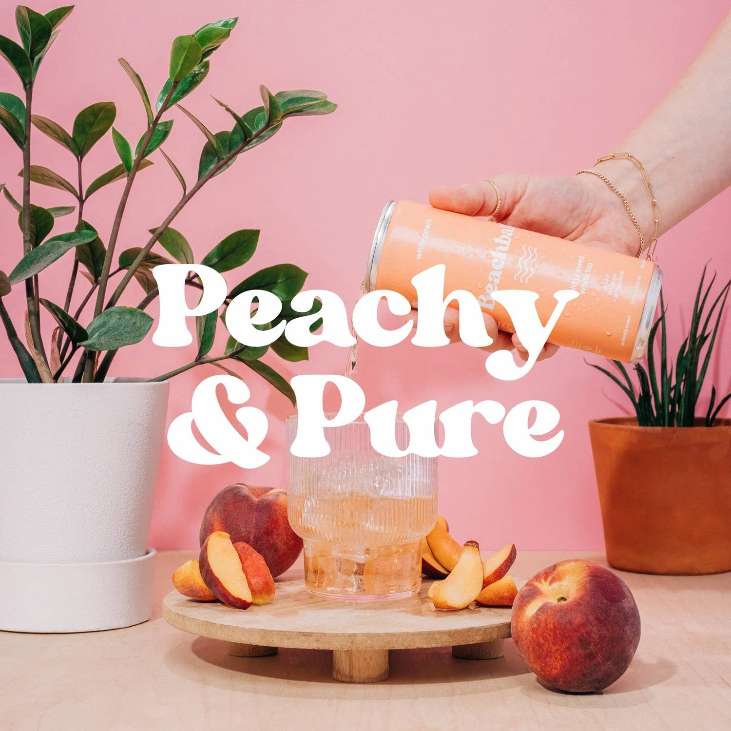 Sail Away Coffee Co. – Großhandel Eistee – BEACHBALL Bio-Eistee Dose – Weißer Pfirsich2