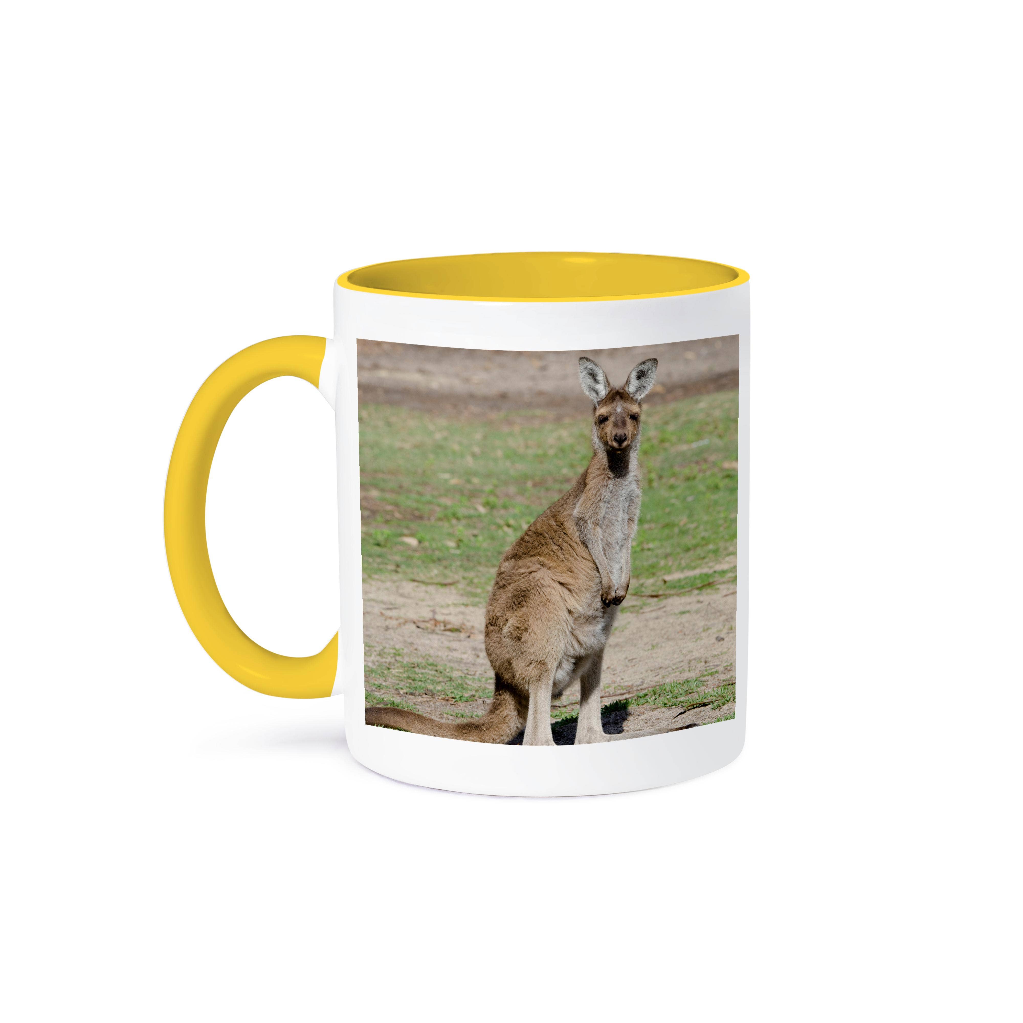 3dRose - Wholesale Coffee mug - 3dRose, Australia, Perth, Yanchep National Park. Western gray kangaroo., Mug0