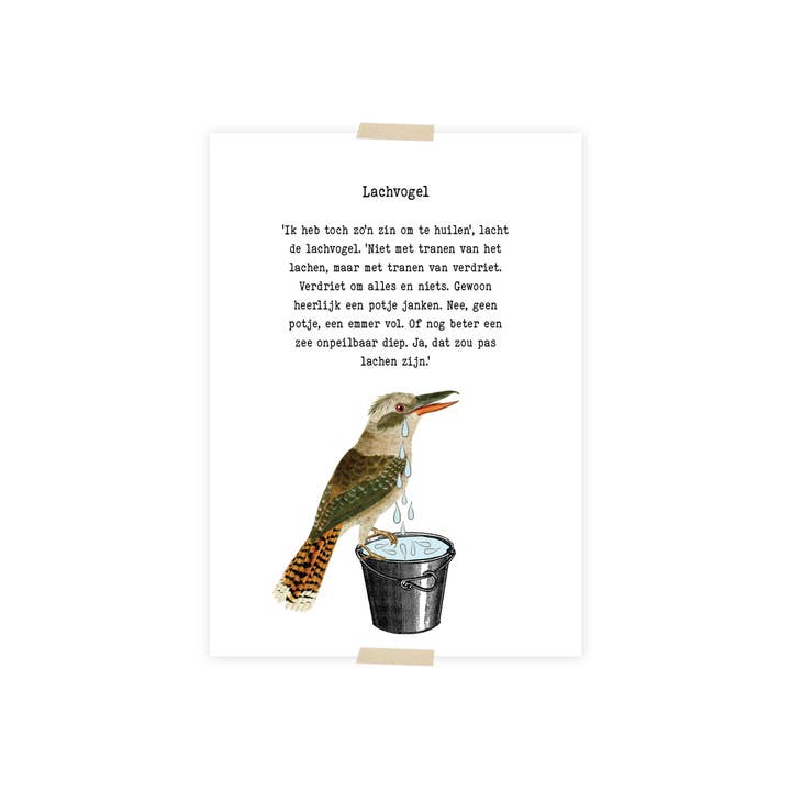 Lylies - Venta al por mayor Tarjeta postal - Collage de postales de animales - pájaro que ríe