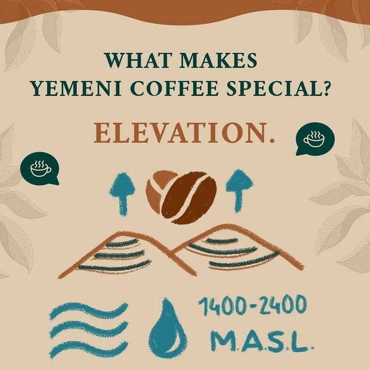 The Studio Coffee. - Venta al por mayor Café en grano - Mokha Harazi de Yemen (natural) - 250 g