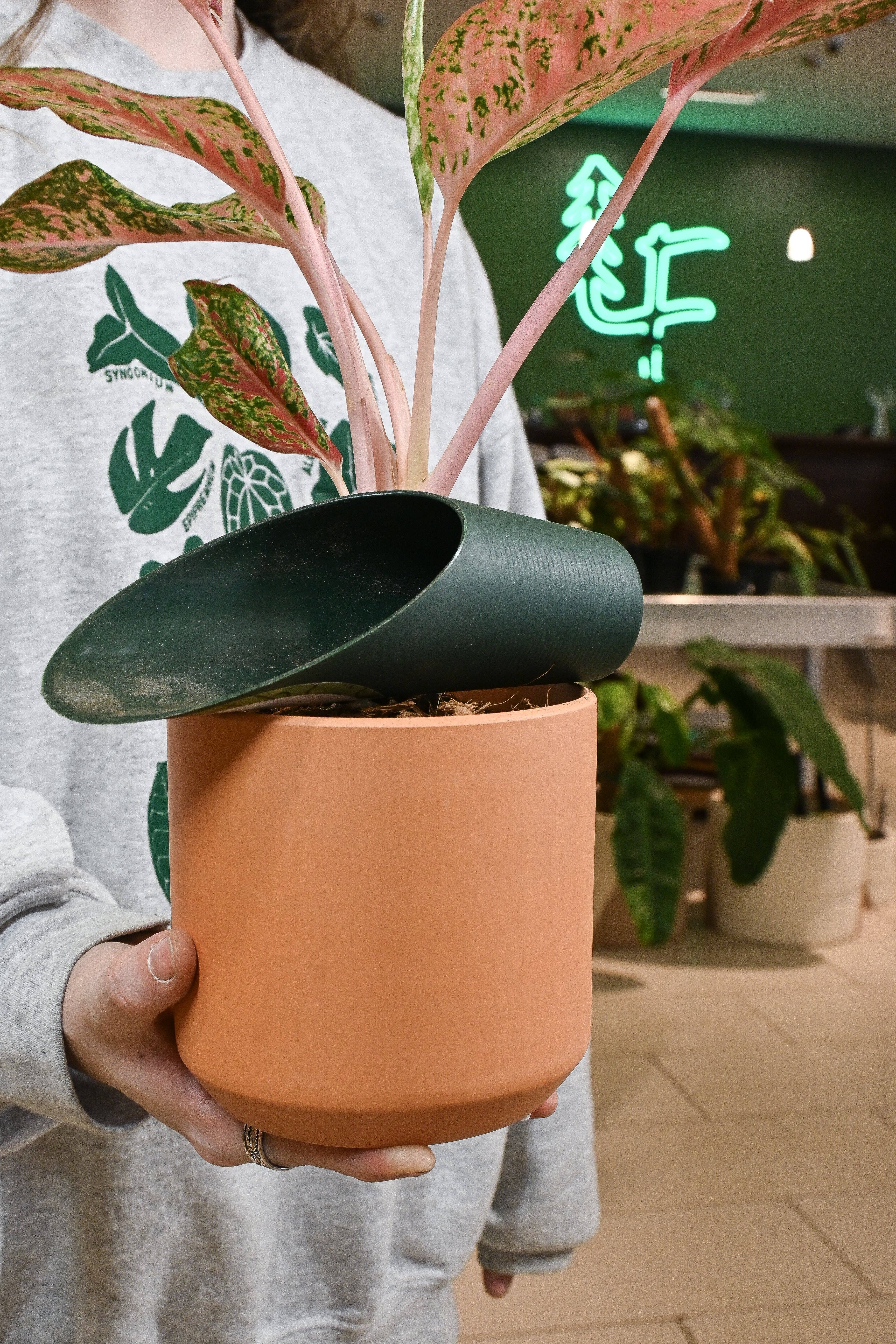 Lost in the Forrest – Engroshandel Haveværktøj – Jordskeer4