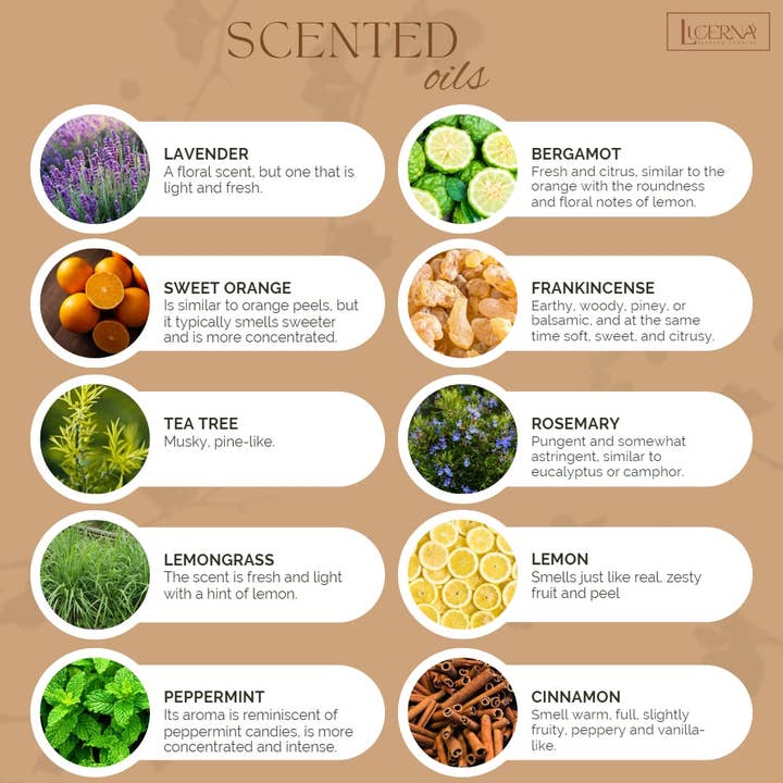 Lucerna Candles US - Wholesale Pillar Candle - Pine Christmas Tree Soy Wax Candle.6