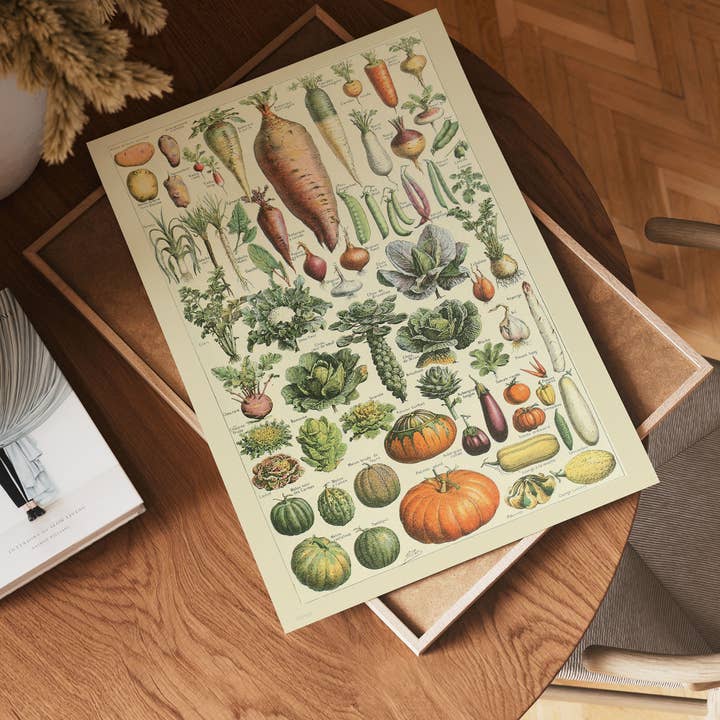 On The Wall Art Ltd – wholesale Art print – Vegtables Poster Art Print 30x40cm1