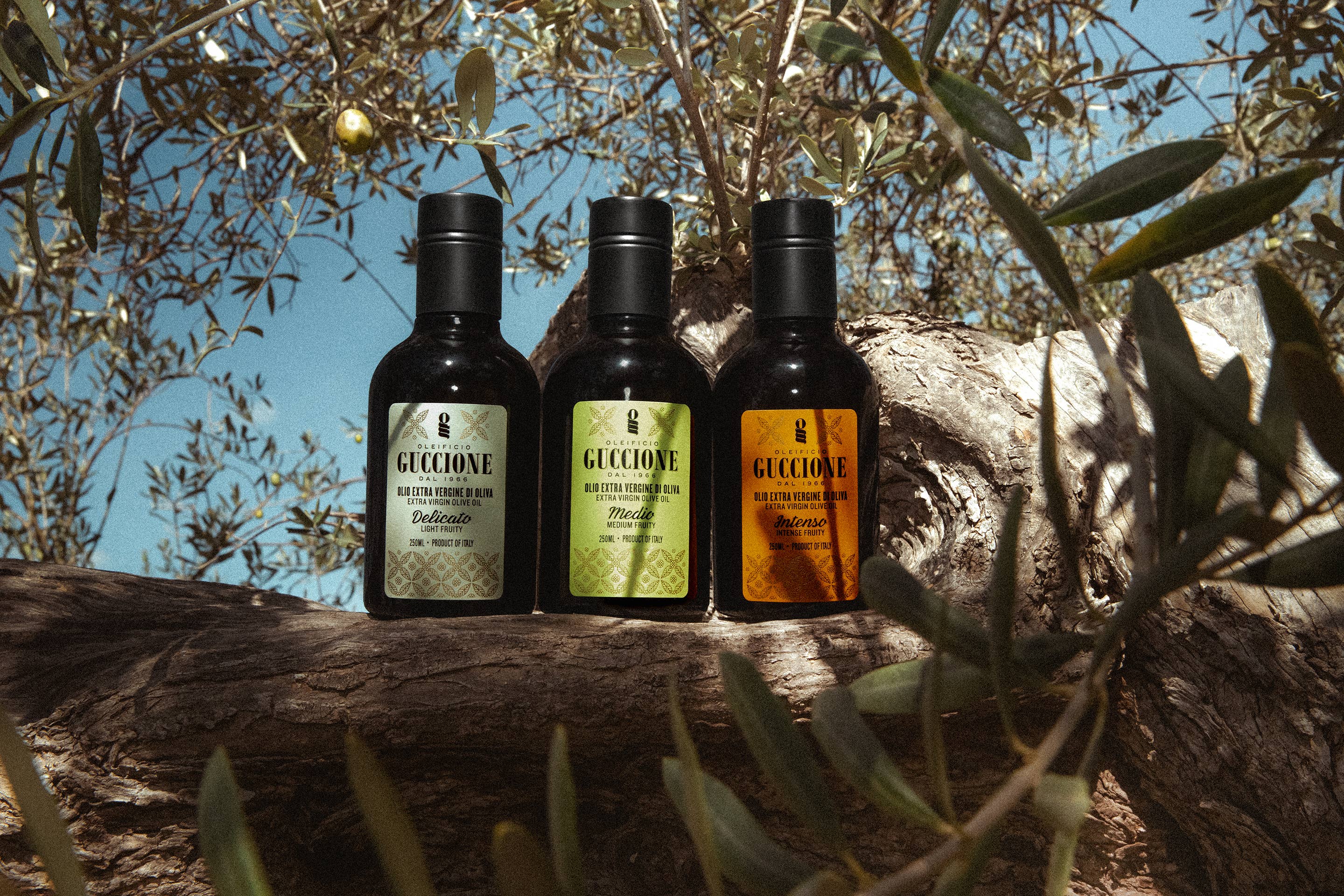 Oleificio Guccione - Vendita all'ingrosso Olio d'oliva - Guccione Medio 250ml - Olio Extra vergine d'oliva Premium2