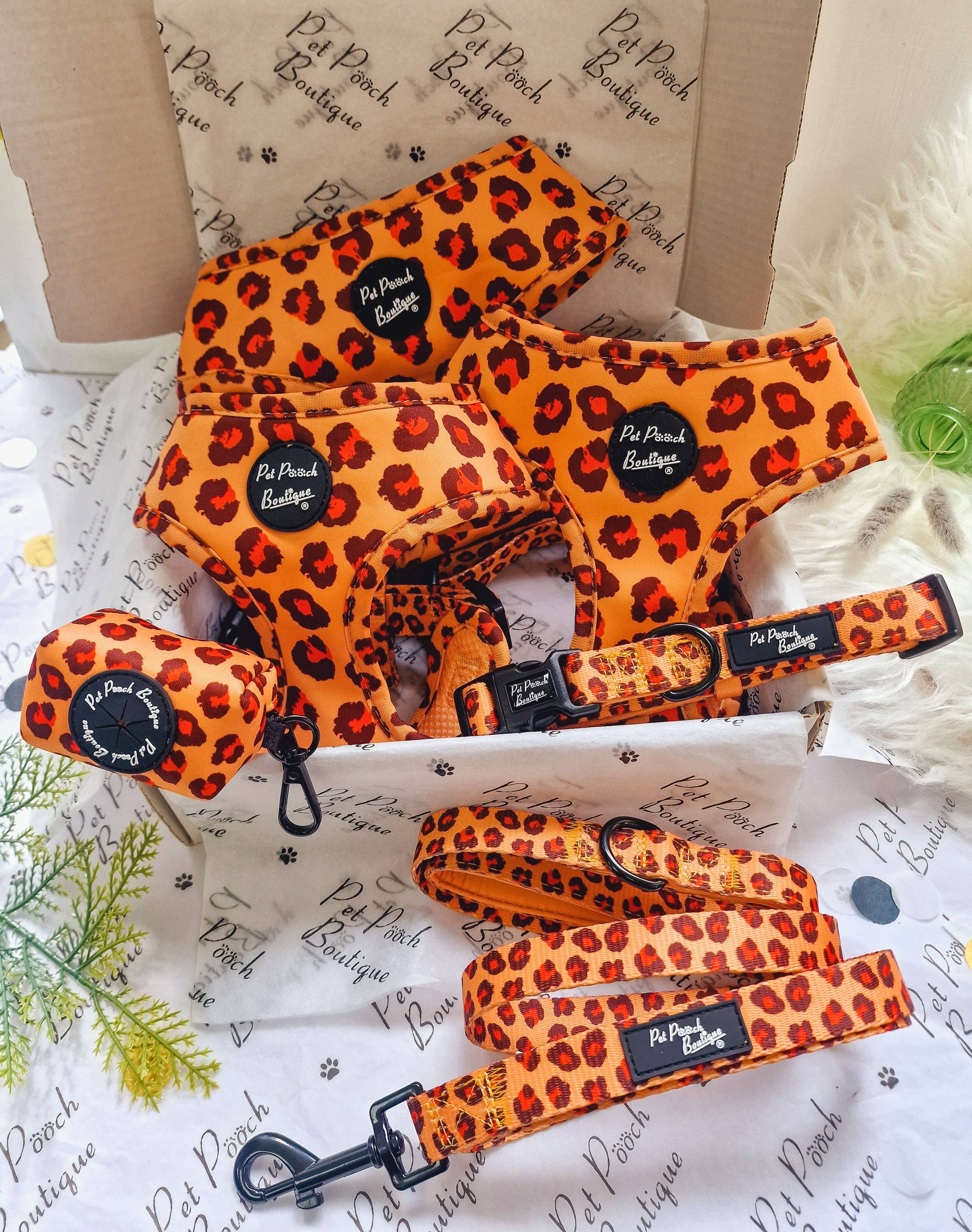Pet Pooch Boutique - Vente Collier – chien - Collier pour chiot ou chien Spiced Honey Leopard (imprimé animalier)6