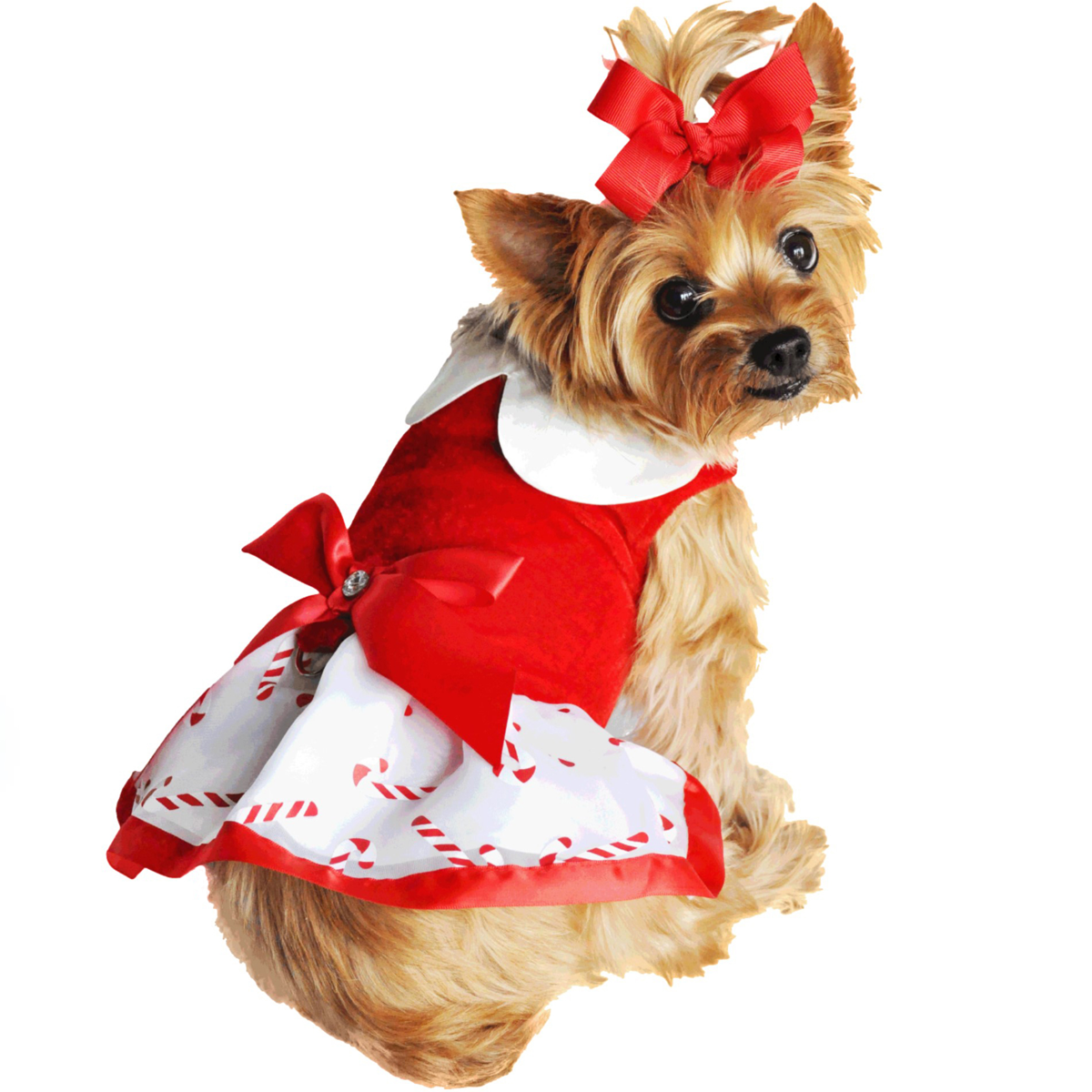 Doggie Design - Wholesale Pet Dress - Dog - Holiday Dog Harness Dress - Candy Canes1