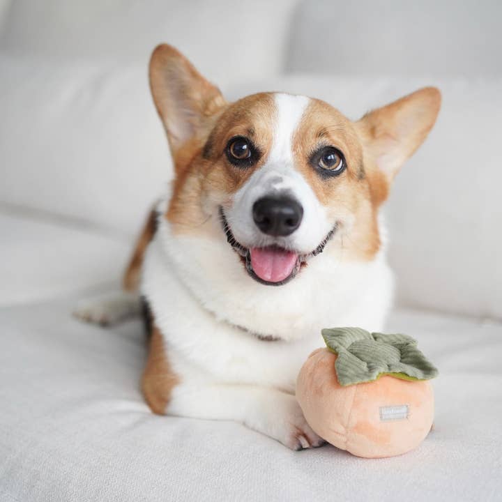 Lambwolf Collective – Engroshandel Tøjdyr - Hund – PERSIMMON/BERIGELSE LEGETØJSSÆT//SNUFFLE LEGETØJ0