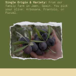 Casacella Foods - Wholesale Olive Oil - Titin Finishing Picual Olive Oil Intense Flavor 750ml-6/case4