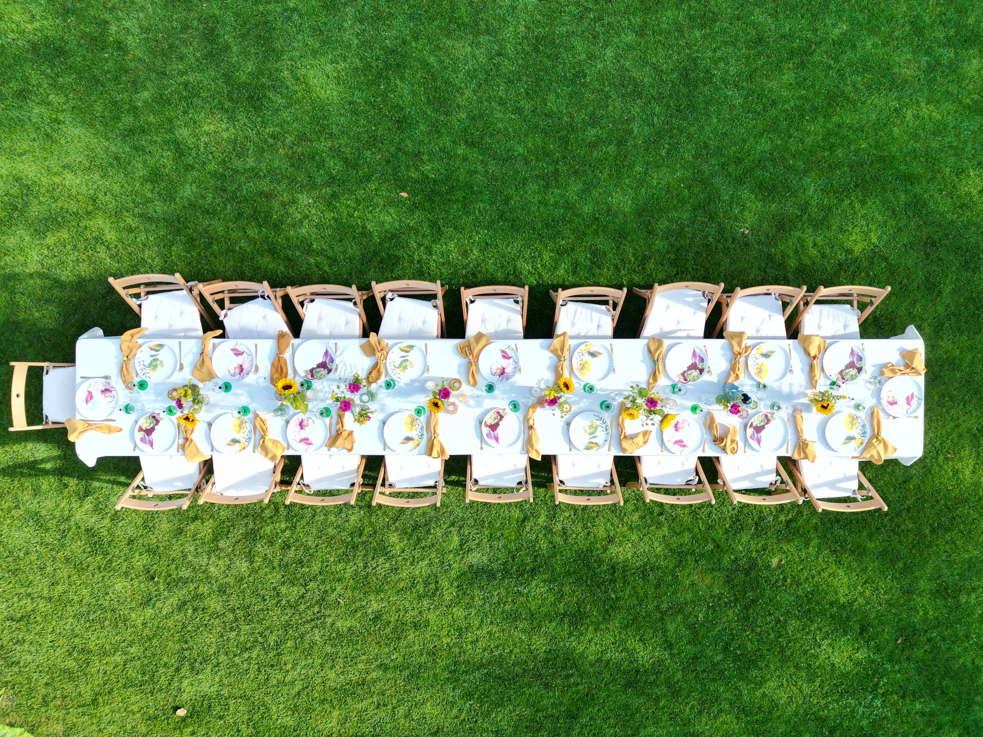 Bordy's - Vendita all'ingrosso Piatto - Botanical Wonders - Set di 4 piatti da cena23