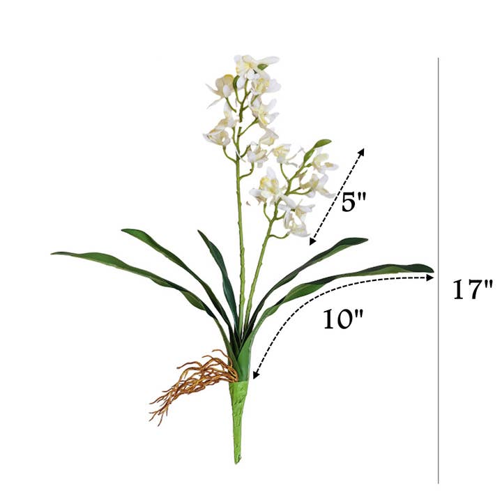 Angel Isabella - Wholesale Artificial Flowers - 17"Artificial Arachnis Orchid Real Touch Leaves