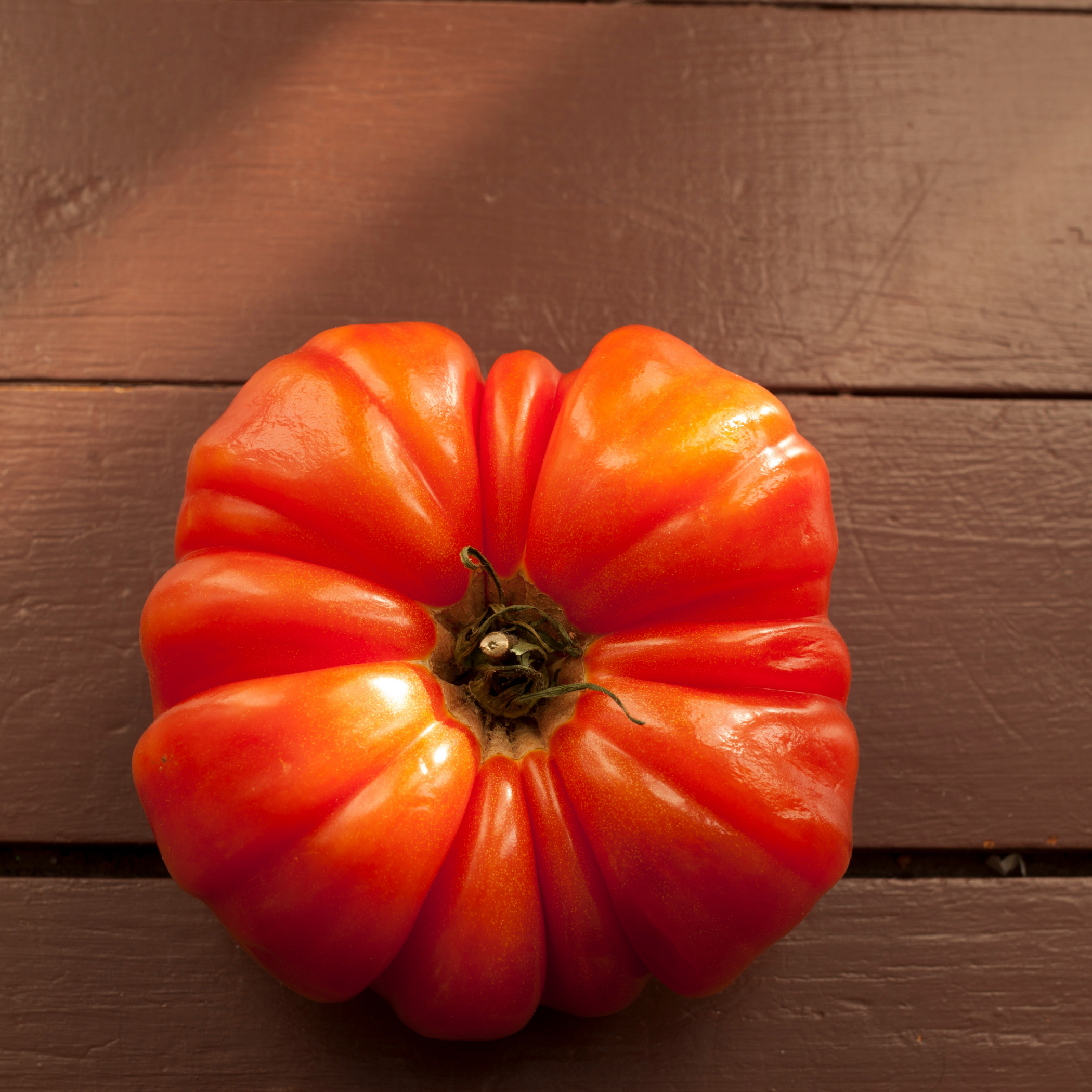 Sow the Magic – wholesale Plant seeds – Mushroom Basket Tomato Tarot Seed Packet1