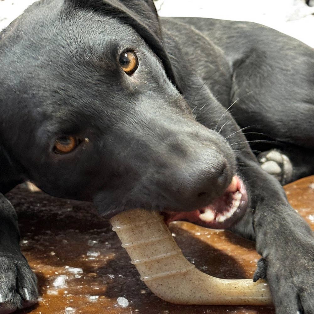 SodaPup Dog Toys - Wholesale Pet Chew Toy - Dog - Hockey Stick Durable Nylon Chew Toy  - Medium7