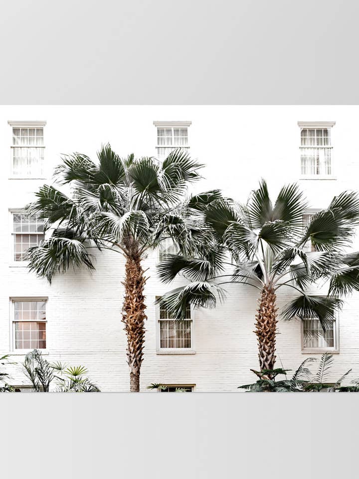 Coastal Palm Resort Print. Hamptons Style Wall Art Poster for wholesale by PRINT AND PROPER