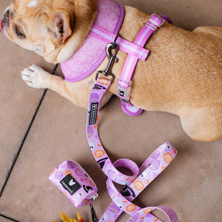 Harnais réversible Frenchie Duo - Witches Brew (violet) pour la vente par Frenchie