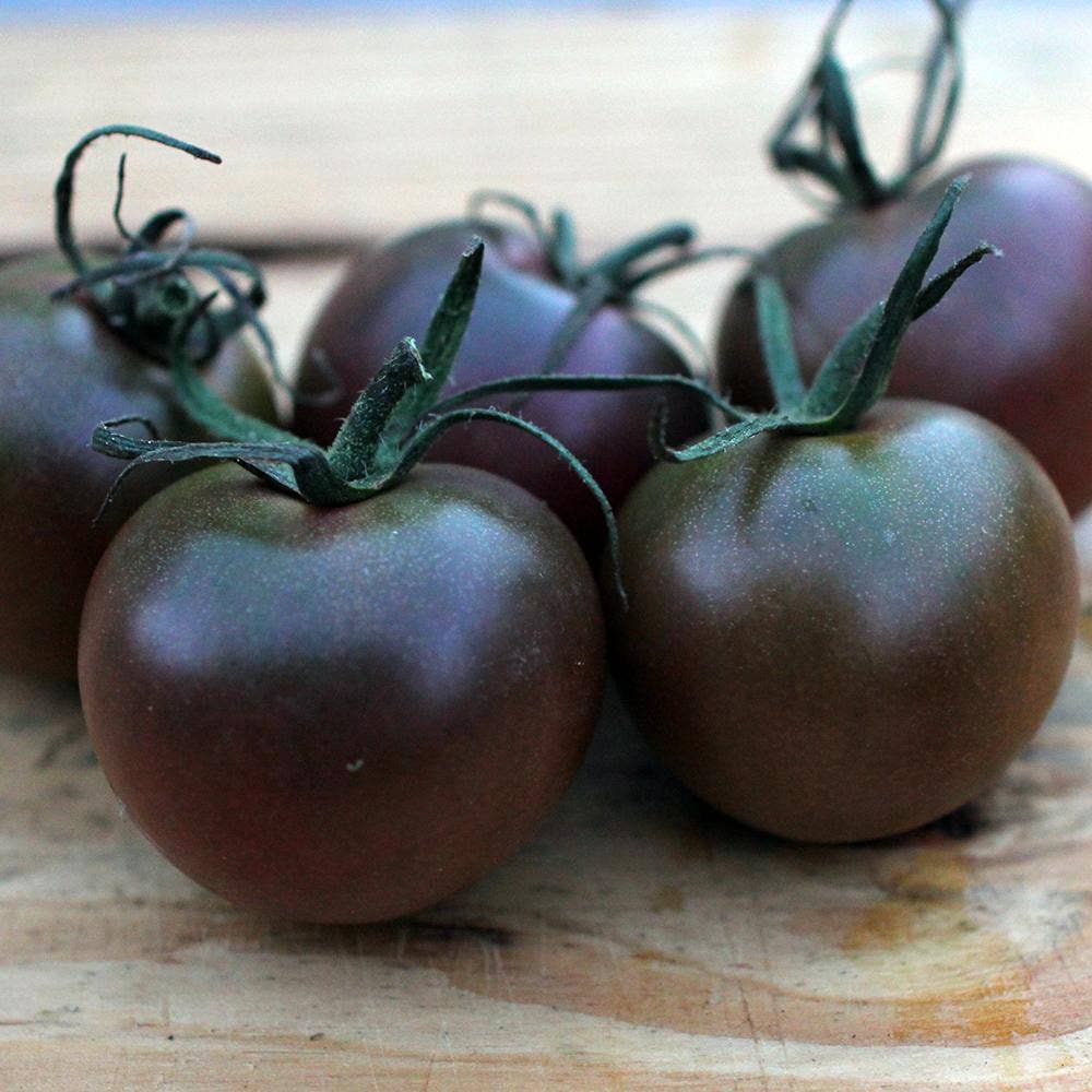 Sow True Seed - Wholesale Plant Seeds - Cherry Tomato Seeds - Black Cherry1