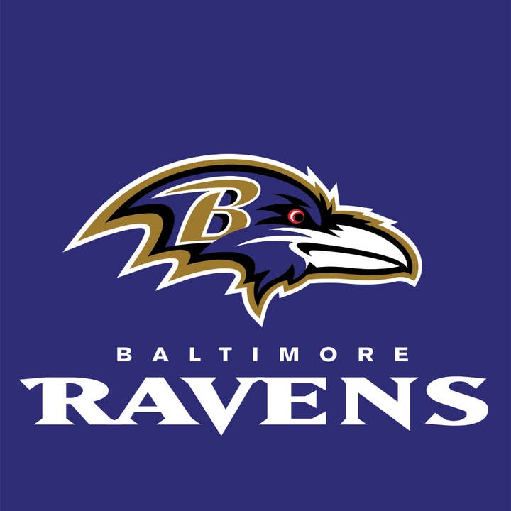 Baltimore Ravens NFL Garden Flag for wholesale by Briarwood Lane