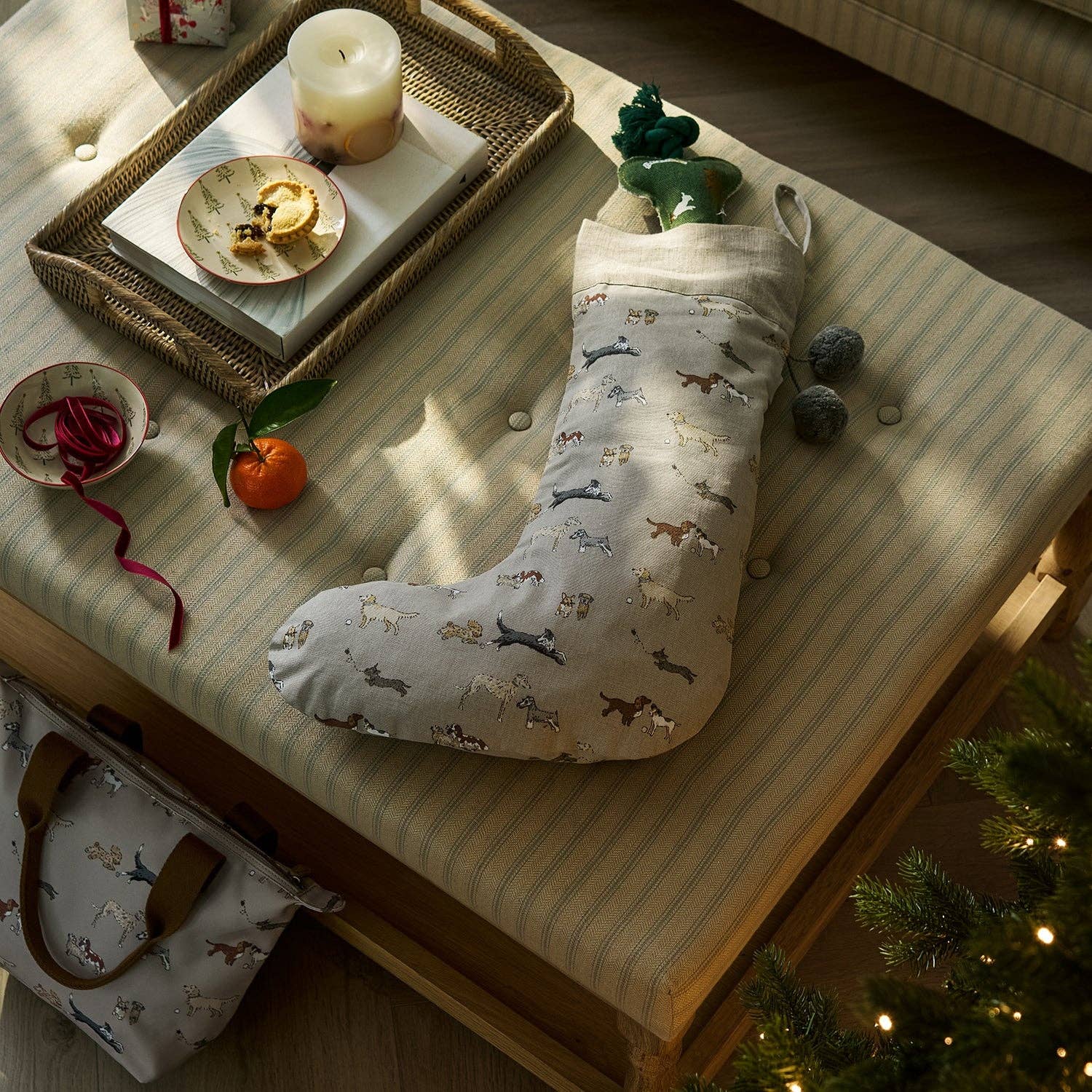 Sophie Allport - Wholesale Holiday Stocking - Doggy Daycare Christmas Stocking