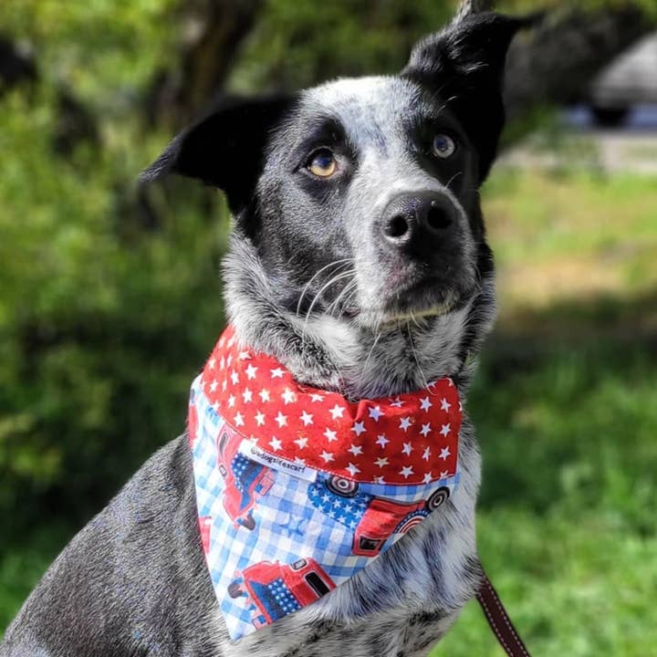 Red Trucks Patriotic Scarf for wholesale by adogslifescarf