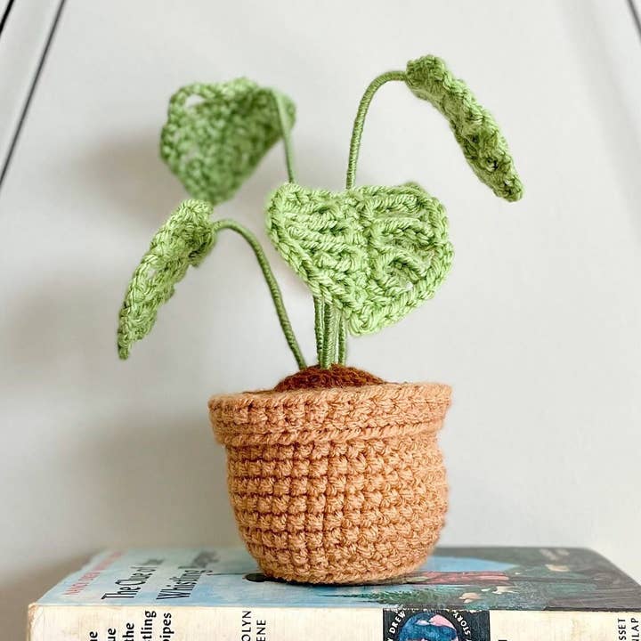 Crochet Monstera Plant Pot, Home Office Decor, Plant Lovers for wholesale by Anh2 LTD