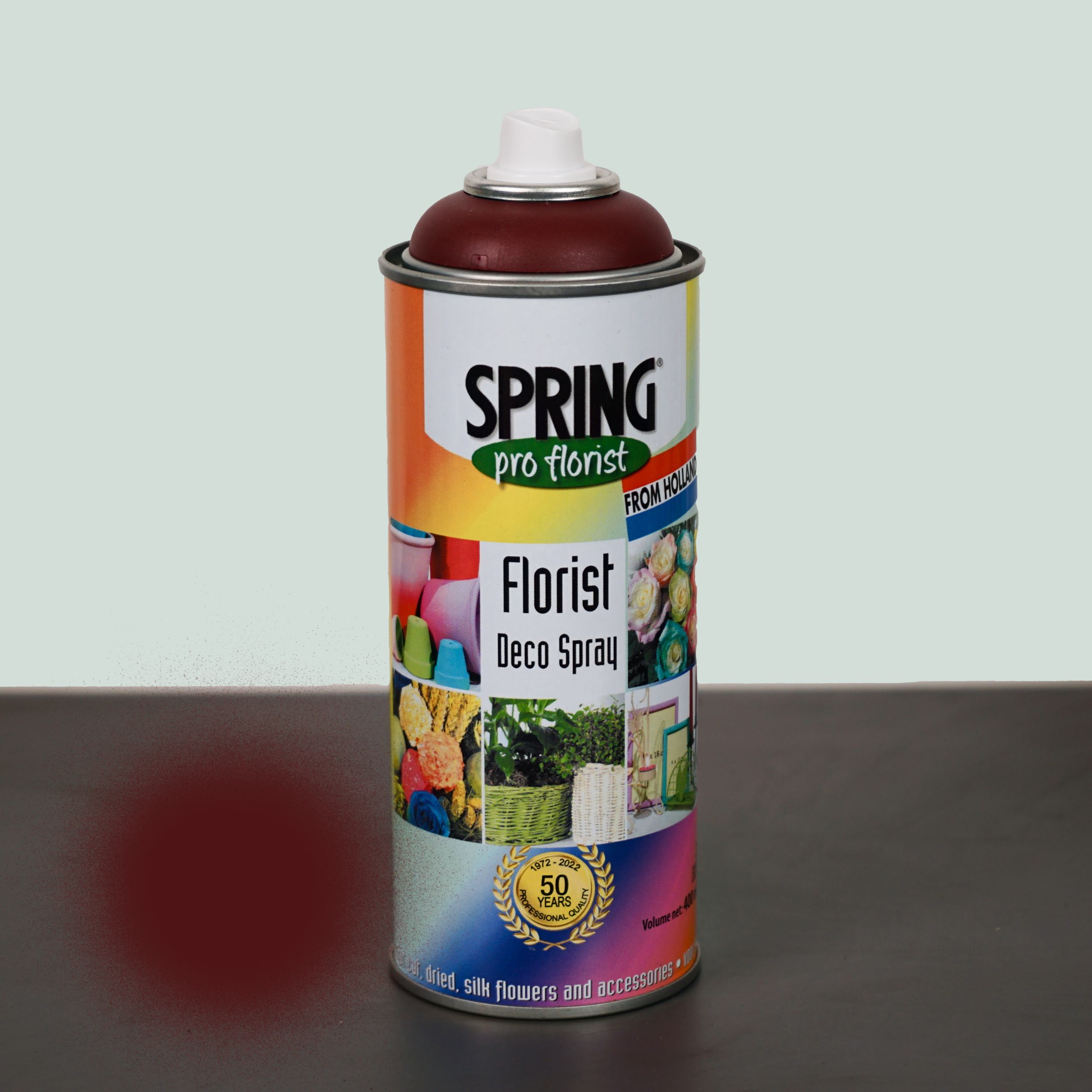All Occasions Wholesale – wholesale Fresh cut flowers – Floral Spray Paint12