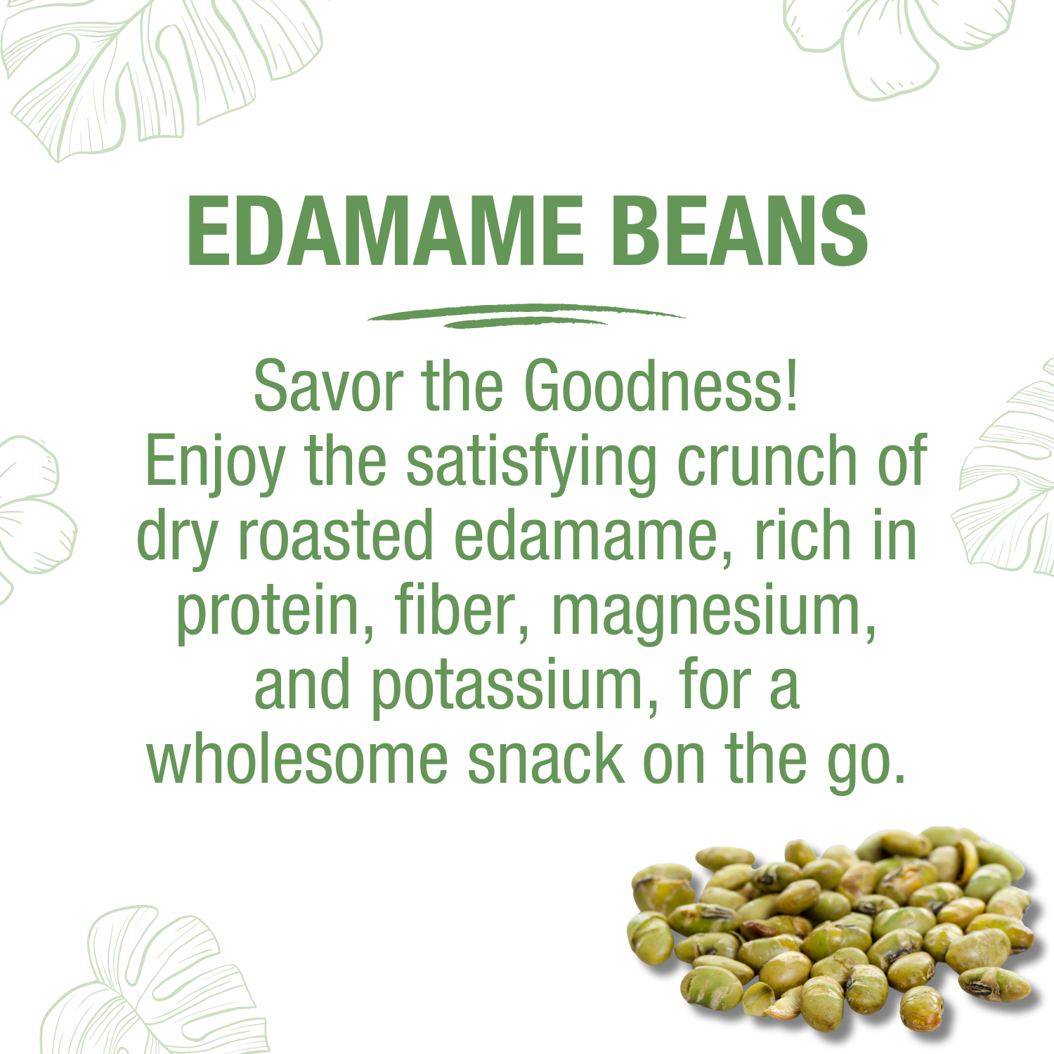 Nakihalani Farm - Wholesale Nuts - Edamame Raosted -  Sea Salt 12oz Family Bag1