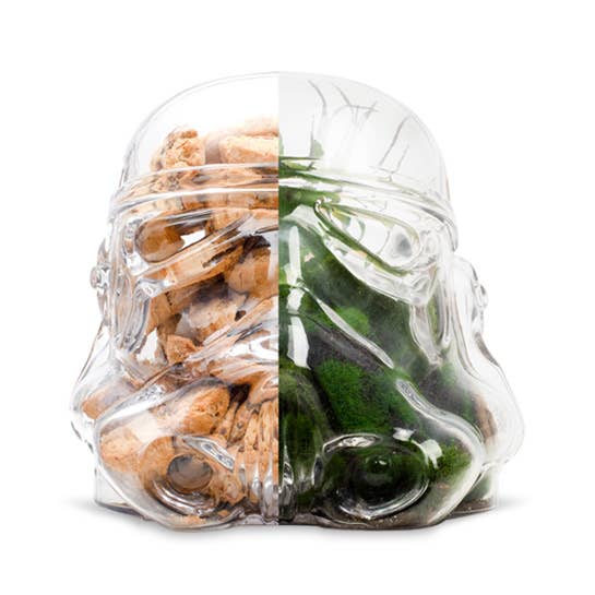 ThumbsUp! - Wholesale Biscuit jar - Original Stormtrooper Terrarium / Cookie Jar