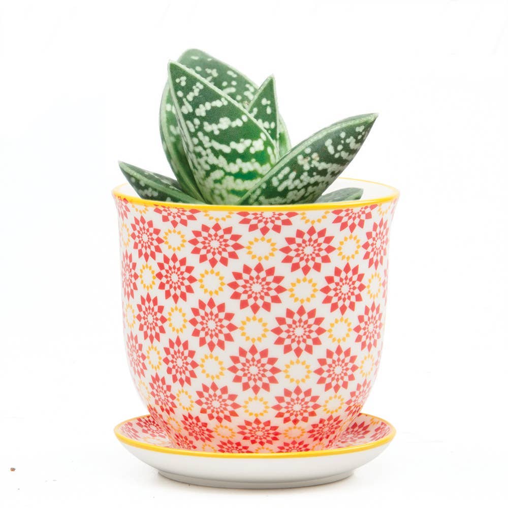 Chive UK – Großhandel Blumentopf – Liberte 3 - Keramik-Blumentopf mit Untersetzer und Abflussloch14