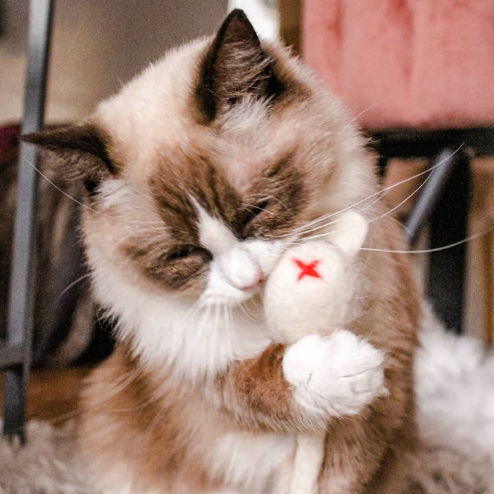 Vilt Wol Katten Speelgoed voor wholesale door COCOON - Paris