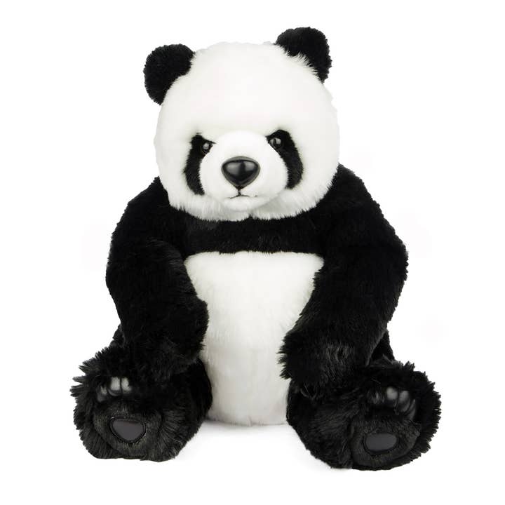 Ty - Baby Panda Bear Size 34cm for wholesale by Bocchetta Plush Toys