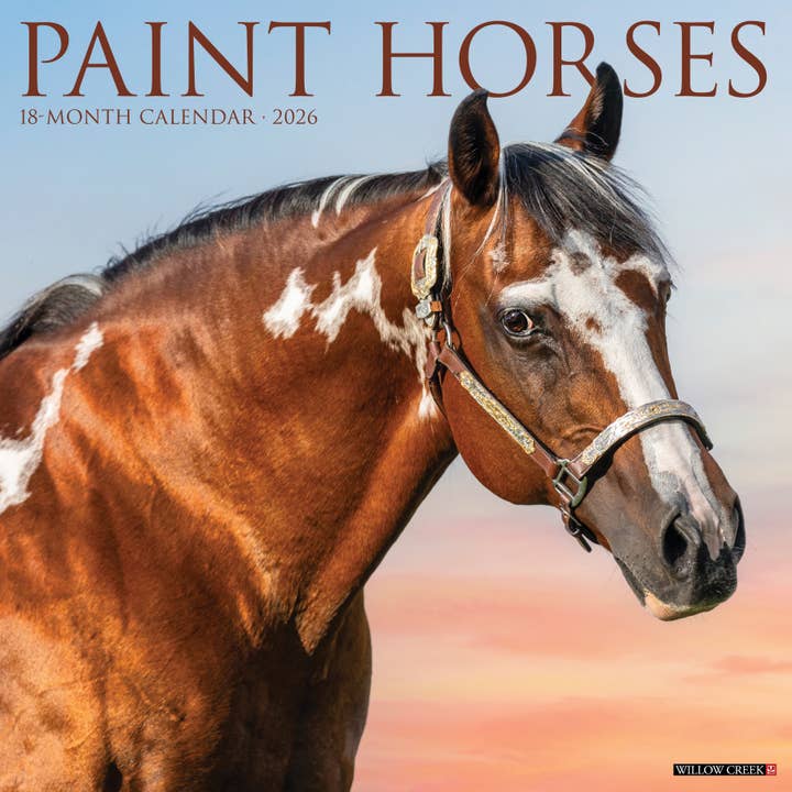 Paint Horses 2026 Wall Calendar for wholesale by Willow Creek Press & Gifts