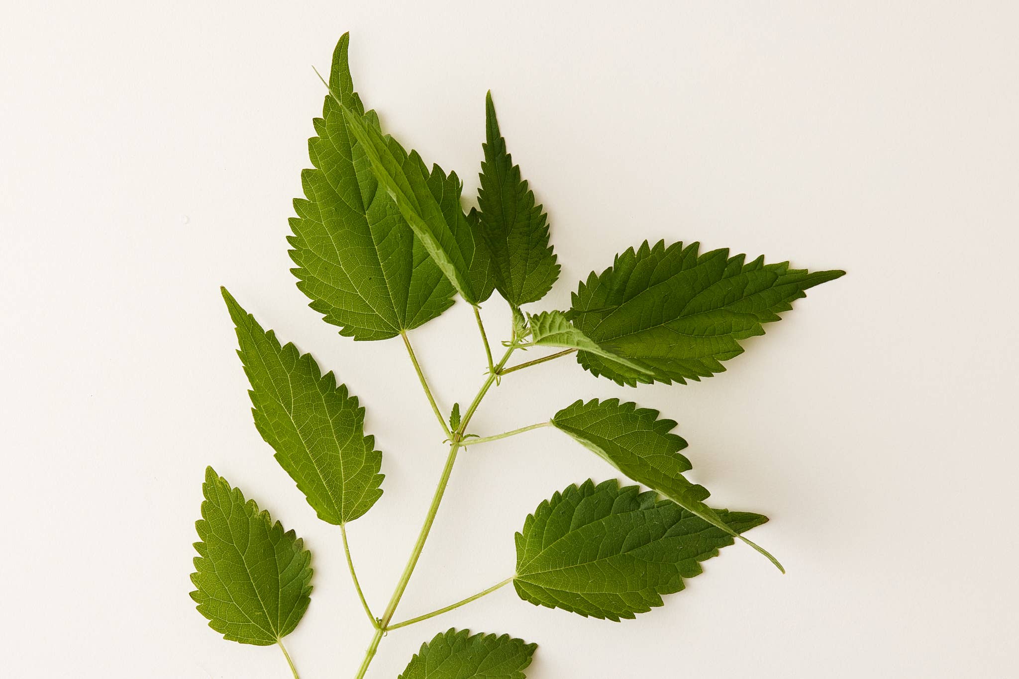 Under Luna - Wholesale Hair Conditioner - WHS - LUNA CLEAR CONDITIONER, 9.5 OZ.3