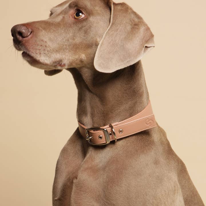 Skylos Collective - Wholesale Pet Collar - Dog - Pink Vegan Leather Dog Collar1