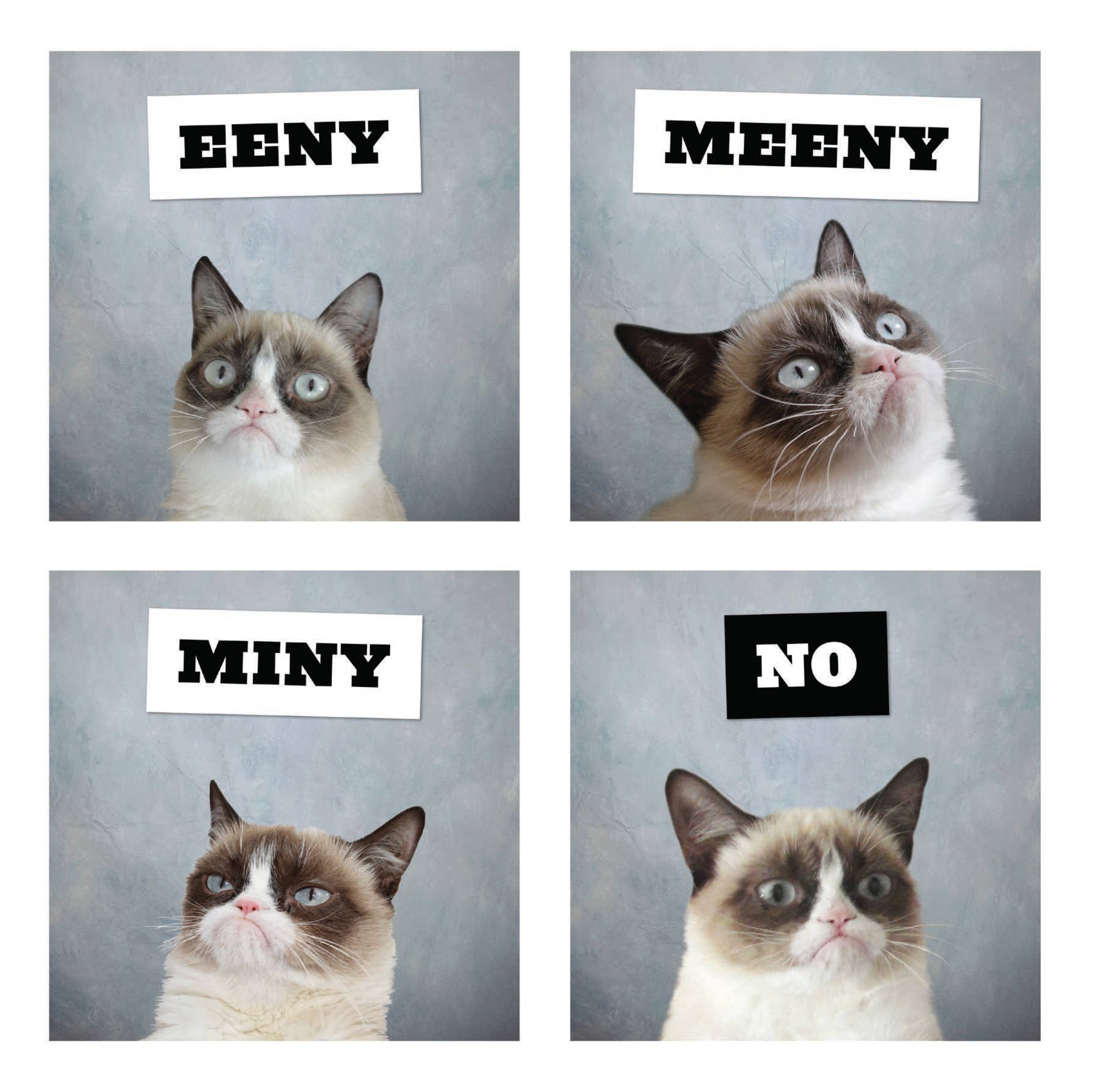 Chronicle Books - Wholesale Calendar - Grumpy Cat 2026 Wall Calendar6