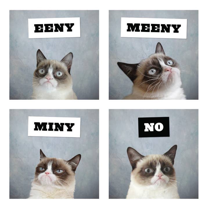 Chronicle Books - Wholesale Calendar - Grumpy Cat 2026 Wall Calendar6