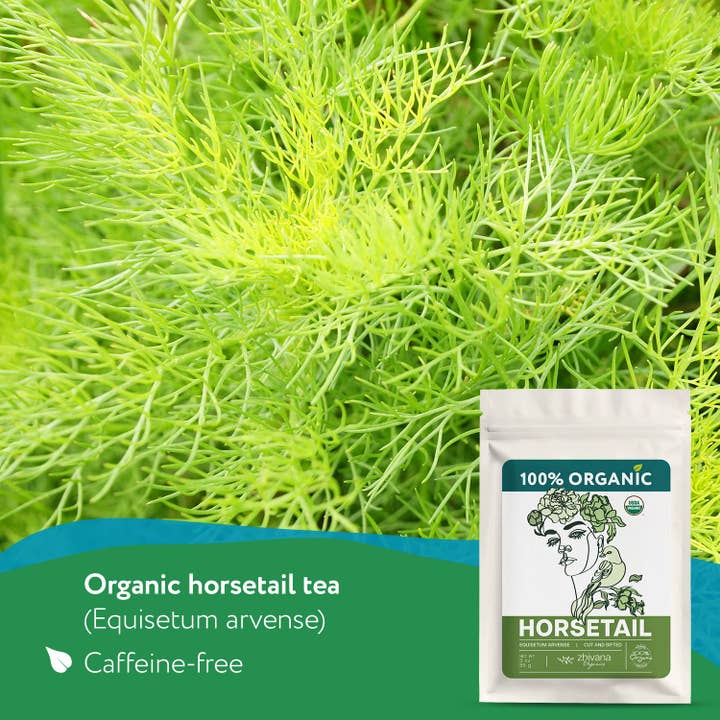 Zhivana Organics - Wholesale Health/Detox Tea - Organic Horsetail (Equisetum arvense) – 5 lb Bulk1