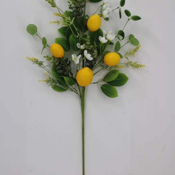 32 Rue Lemon Spray 65492 pour la vente par DecoExchange