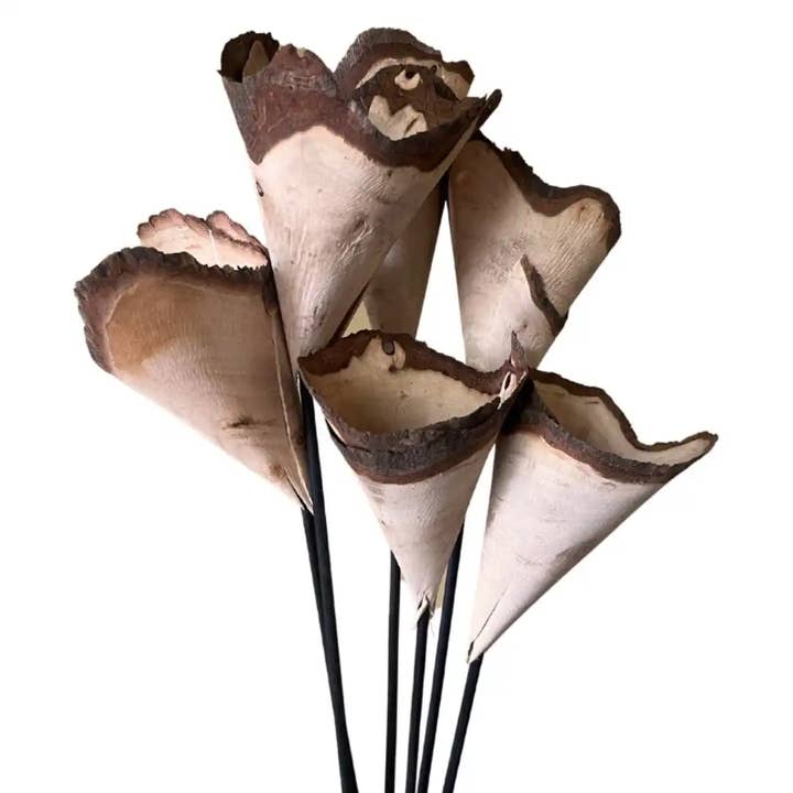 Botanico Ltd. – wholesale Artificial flowers – Wood Cones
