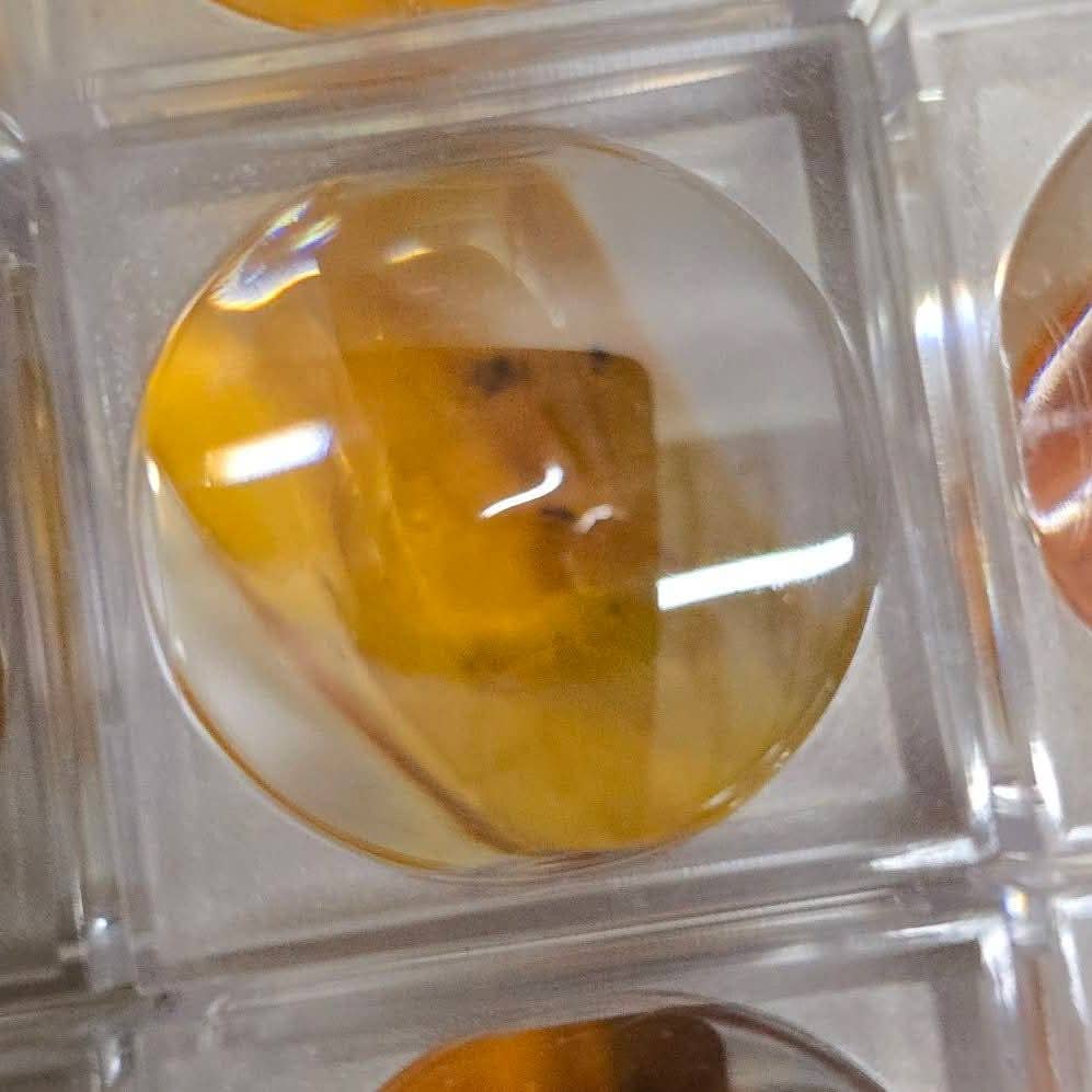 Aquamarine Daydream Wholesale - Vente Pierre et cristal de spiritualité - Ambre avec Insectes ~ Loupe ~ Cristaux ~ Spécimen Minéral1