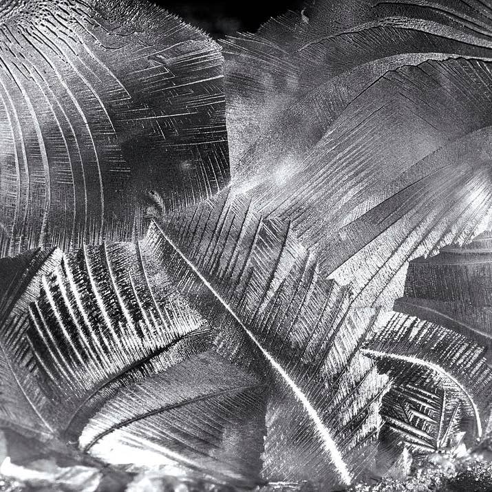 Impression d'art métallique à bulles gelées FRB06 pour la vente par Breaking Rules Photography