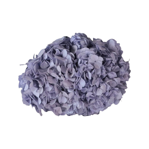 Concari.flores Preservadas - Wholesale Artificial Flowers - PRESERVED HYDRANGEA FLOWER11