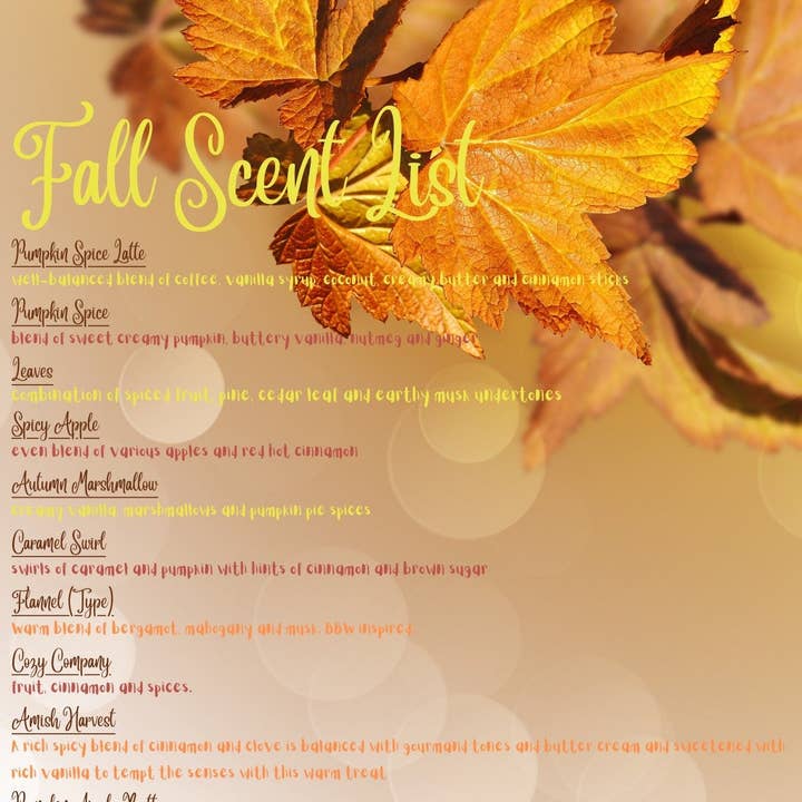 The Wright Scent – Großhandel Auto-Lufterfrischer – Unisex – 1 lb Herbst duftende Aroma-Perlen, Aroma-Perlen-Lufterfrischer, Auto-Lufterfrischer, Sachet-Beutel, Großhandel1