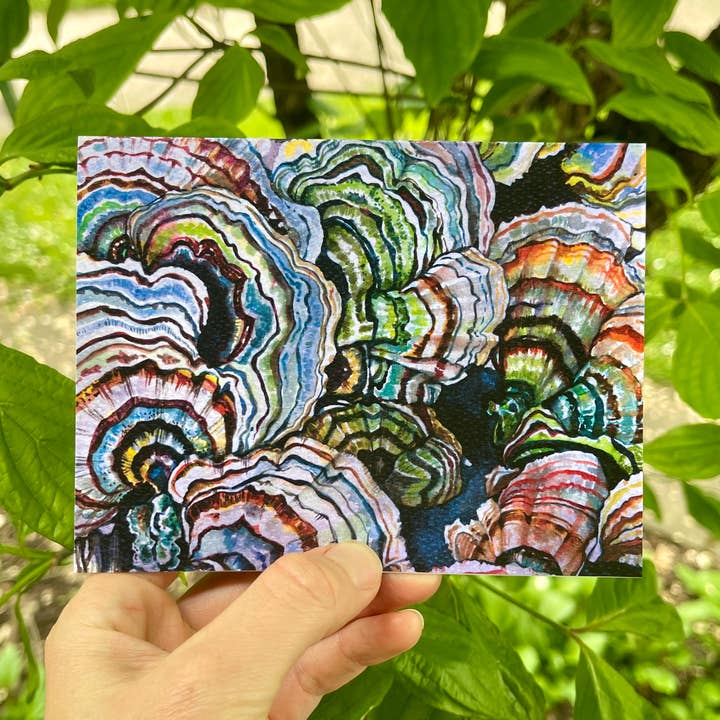 Turkey Tail Mushroom Greeting Card for wholesale by Rosalie Haizlett Illustration