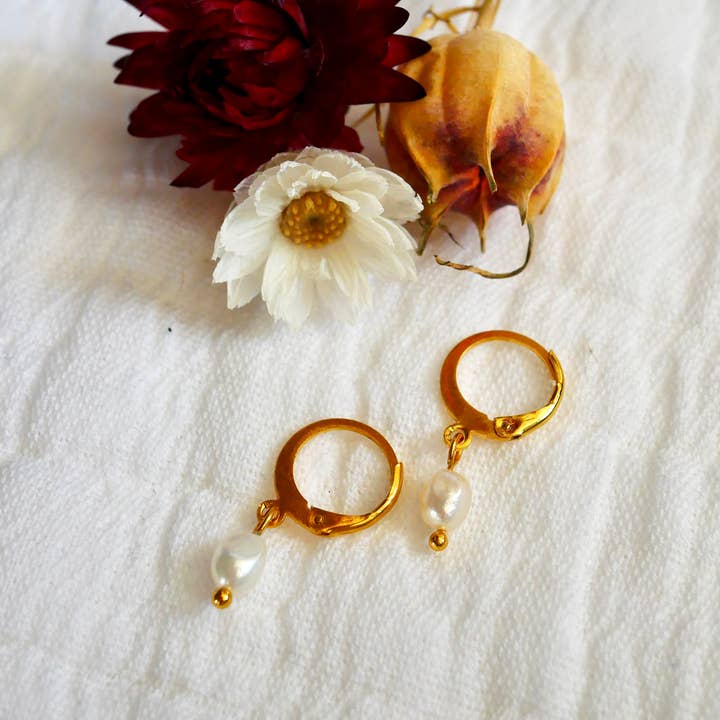 Lou por atacado de Lluvia