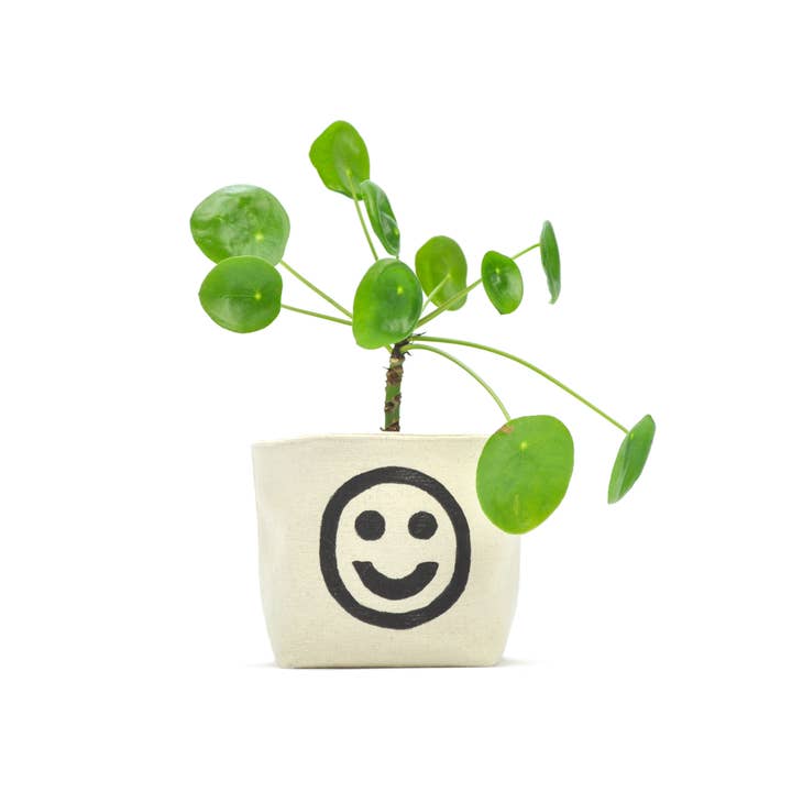 Gray Green Goods – wholesale Plant pot – Smiley Face Blockprint Canvas Planter—4"